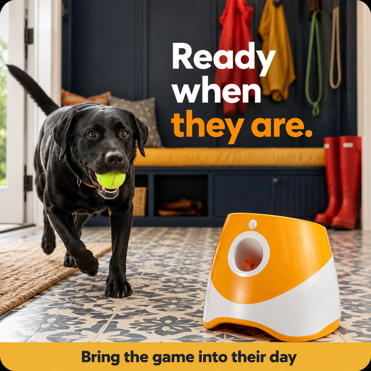 PetPaw™ - Ball Launcher